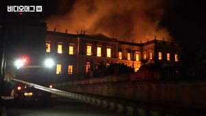 "조국의 역사가 재가 되었다" 브라질 박물관 화재가 비극인 이유