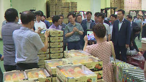 [수도권] 경기도, '어린이 건강과일 공급 사업' 확대