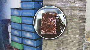 '급식 케이크' 식중독 의심 전북 학생 급증&hellip;293명으로 늘어