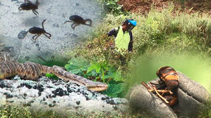 하동서 벌초하던 60대 벌 쏘여 숨져&hellip;창원서는 2명 부상