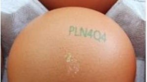 농식품부, '피프로닐 설폰' 검출된 부적합 계란 전량 회수