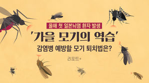[리포트+] 올해 첫 일본뇌염 환자 발생&hellip;'가을 모기의 역습' 감염병 예방할 모기 퇴치법은?