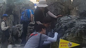 대구 아파트 건설현장서 붉은불개미 발견&hellip;중국산 석재서 나와