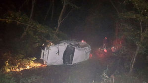 '고라니 피하려다' 승용차 추락&hellip;로드킬 2차 사고로 운전자 숨져