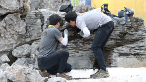 대구 아파트 건설현장서 여왕 붉은불개미 발견
