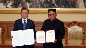 평양 공동선언 내일 국무회의 심의…국회 동의 없이 바로 비준