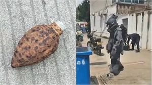 [뉴스pick] 할머니가 3년 전 나무 심다 발견해 손자에게 준 물건의 정체