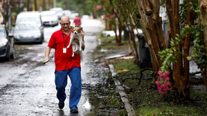 허리케인 때 버려진 동물 돌봐줬더니&hellip;'무면허 치료'로 체포