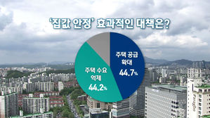 [여론조사①] 50.3% "9 ·13 대책 오래 못 가"…'집값 안정' 의견 팽팽