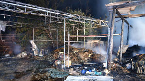 강화도 쑥 보관 창고서 불…'사자발쑥 7t 모두 타'