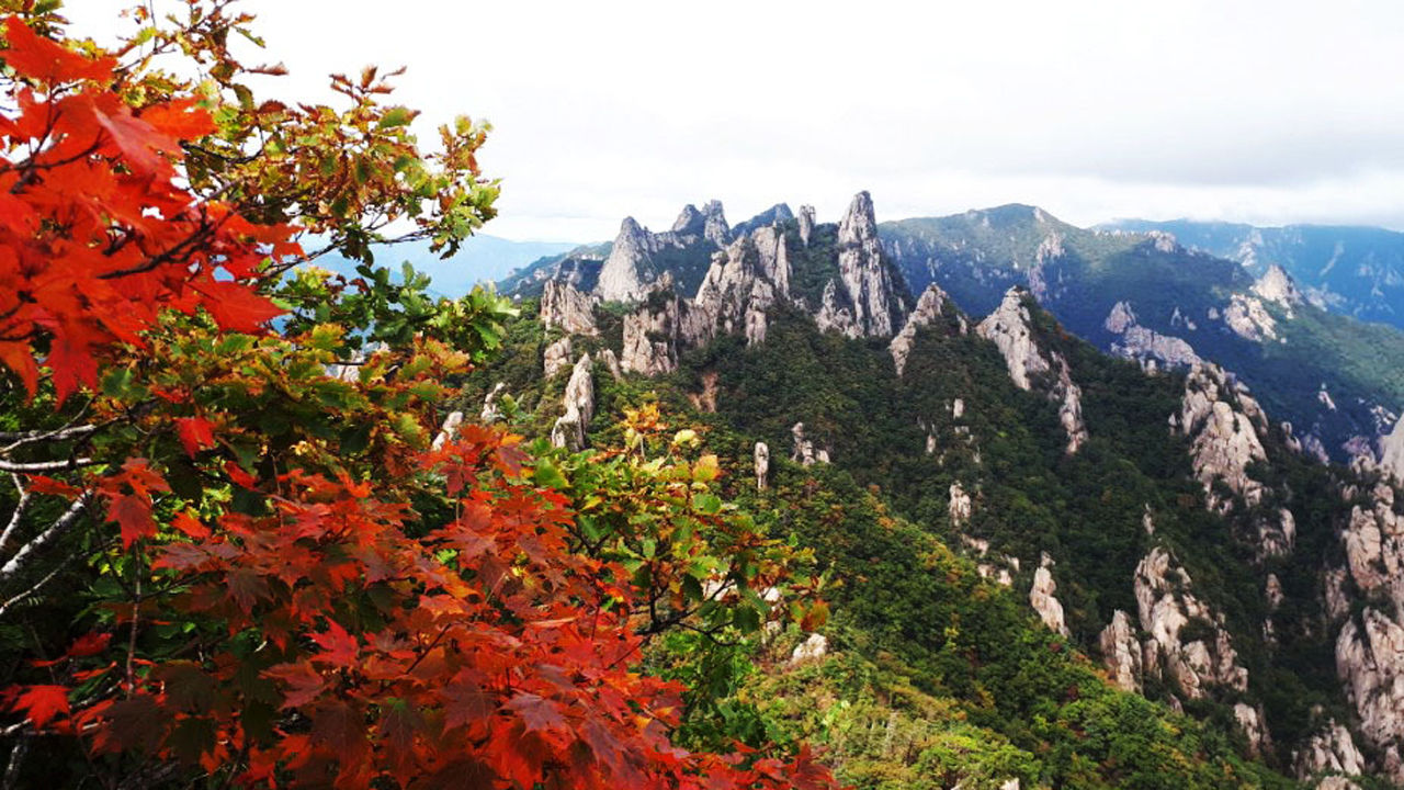 설악산 단풍 (사진=연합뉴스)