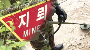 국방부 "남북 판문점 JSA&middot;철원 DMZ 지뢰제거 개시"