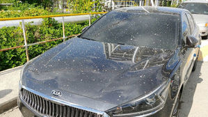 여수산단서 고무 원료 '비산'&hellip;차량 50여 대 피해