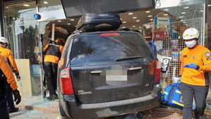 승용차 충돌 후 애견숍으로 돌진&hellip;운전자 부상