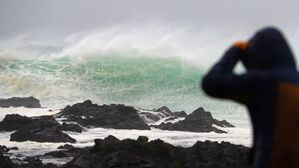 제주 전역 '태풍경보'&hellip;하늘&middot;바닷길 끊기고 침수&middot;정전 속출