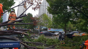 정부 "태풍 '콩레이'로 2명 사망&middot;1명 실종"