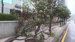 휘날린 간판 잔해 수북&hellip;'상습 피해' 마린시티 아수라장