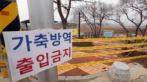 경남 창녕 야생조류 분변서 'AI항원 검출'&hellip;긴급 차단방역