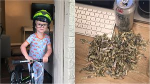 [뉴스pick] 풋볼 경기 보려고 1년 동안 모은 돈 파쇄기에 넣은 2살 아들