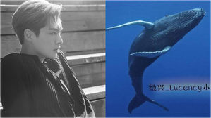 [SBS Star] EXO LAY's Fans to Get Him a Living Whale as a Birthday Present
