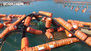 흔적도 없이 사라진 벼…태풍 '콩레이'에 목멘 농심