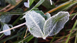전국 올가을 가장 쌀쌀한 아침&hellip;"내륙에는 서리&middot;얼음"