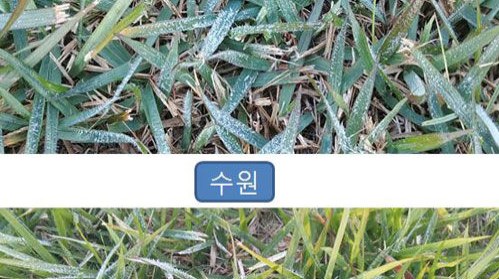 서울&middot;수원 첫 서리 관측&hellip;평년보다 각각 14일&middot;11일 빨라