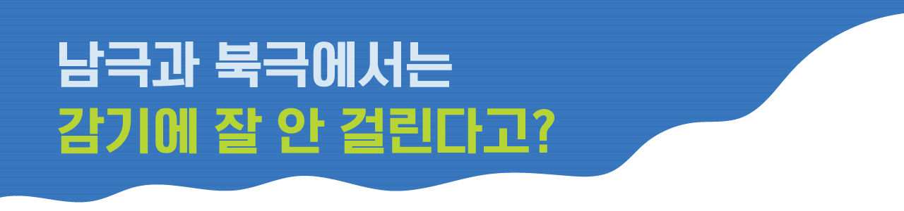 [라이프] '콜록콜록' 나도 모르게 찾아온 감기...사실 춥다고 걸리는 게 아니다?
