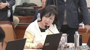 손혜원 의원