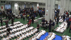 참치 한마리에 34억 7천만 원&hellip;'새 도쿄의 부엌'에서 신기록