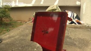 아파트 17층서 얼음덩어리 투척&hellip;"냉장고 청소하다 버렸다"