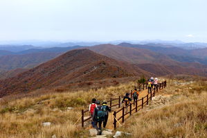 [라이프] 가을 '타는' 남자 - 태백 함백산(咸白山) 종주기(記) ①