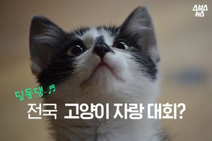 작은 생명들과의 공존을 말하다&hellip;전국 고양이 자랑 대회 '눈길'