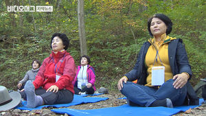 하루 숲 속 생활 뒤 스트레스 측정하자&hellip;놀라운 결과