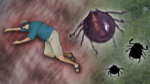 '야생 진드기 주의' 울산서 올 여섯 번째 SFTS 환자 발생