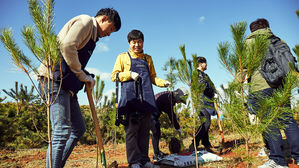 "미세먼지 막아라"&hellip;한화그룹, 인천에 '태양의 숲' 조성
