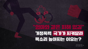 [리포트+] "엄마와 같은 피해 없길"…가정폭력 '국가가 지켜달라' 목소리 높아지는 이유는?