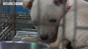 지원금만 챙기고&hellip;동물 굶기고 방치하는 동물보호소