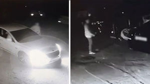 무모한 사촌 형제&hellip;정비업소서 고급 수입차만 골라 훔쳐