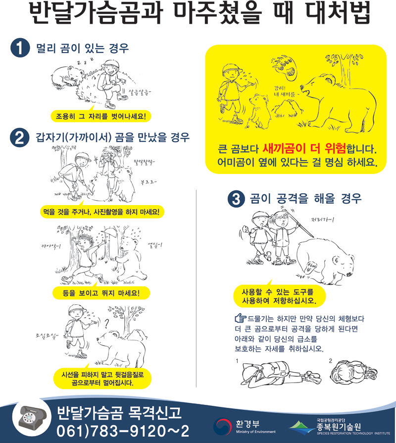 [취재파일] 먹이 얻어먹던 반달곰…지리산야생에서 퇴출