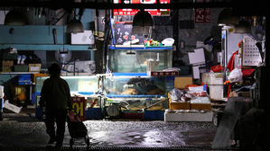 물고기 배 내놓고 '둥둥'&hellip;단전&middot;단수 옛 노량진수산시장 '암흑'