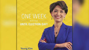 美 연방하원 의원 도전 영 김 후보 결국 낙선