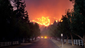 미국 총기참사 벤투라에 대형산불까지&hellip;7만 가구 대피령