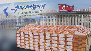 北 "평양선언 이행" 압박 속 '귤 200t' 보낸 靑&hellip;의미 주목