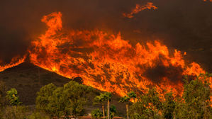 트럼프, 캘리포니아 산불 피해지역 방문하기로