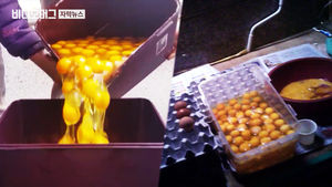 버려야 할 달걀, '액란'으로 유통&hellip;분변 묻은 껍질 둥둥