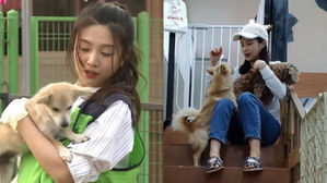 [SBS Star] Red Velvet JOY Volunteers at Animal Shelters Before Adopting Her Own Dog