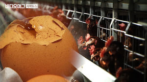 "깨진 불량 달걀, 구더기까지 끼는데"&hellip;알고도 팔고 샀다