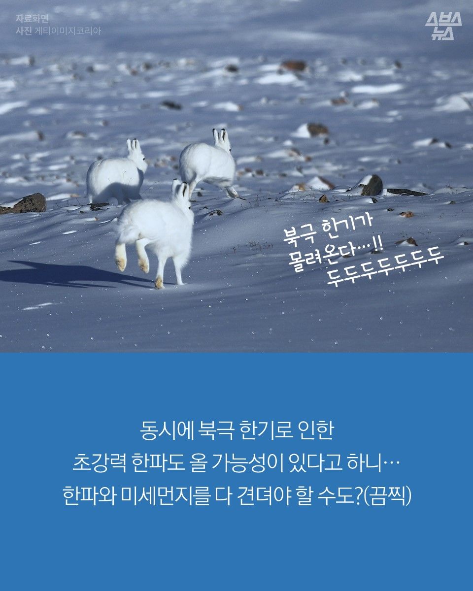 슬라이드 이미지 8