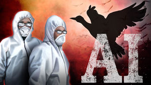 경북 고령서 AI 바이러스 검출…병원성 확인 중